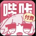 付费哔咔